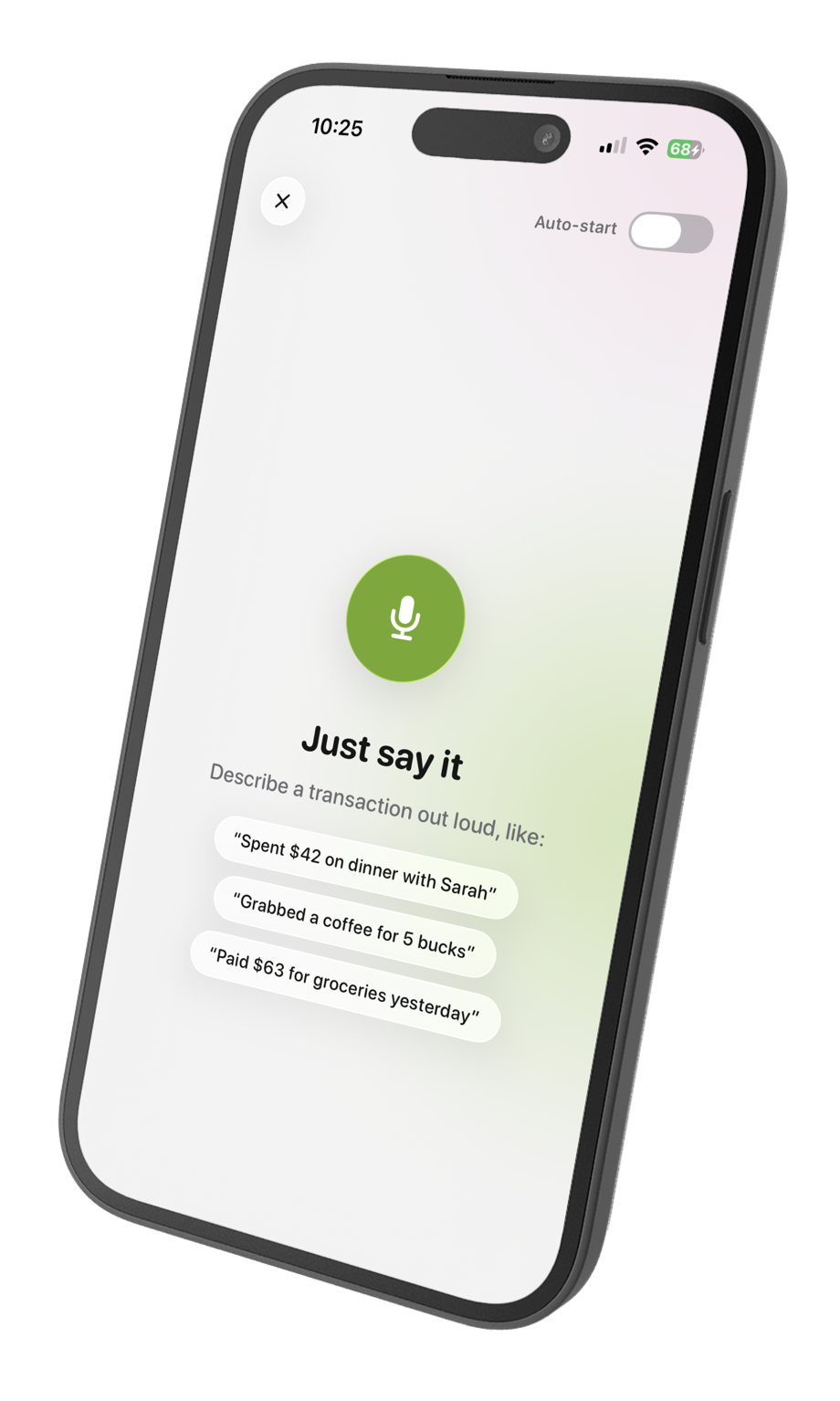 Tally voice entry - a microphone with example phrases like 'Spent $42 on dinner with Sarah'